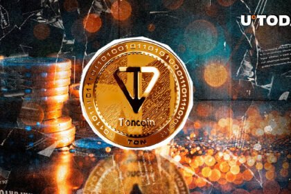 Toncoin (TON) Skyrockets 94% in Whale Moves Amid $482 Million Market Sell-Off