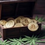 Even cannabis companies are announcing reserves in bitcoin