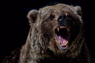 Bitcoin Could Drop to $86K as Demand, Network Activity Falter: CryptoQuant