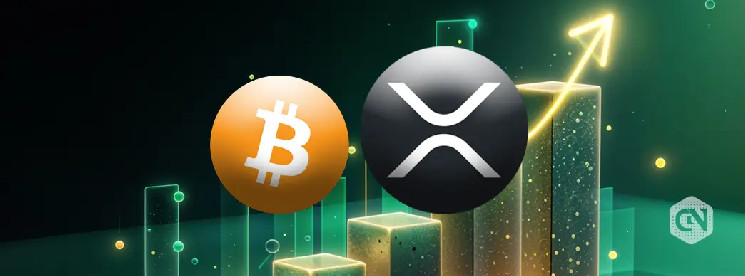 XRP Price Outperforms Bitcoin Despite “Shitcoin” Allegations