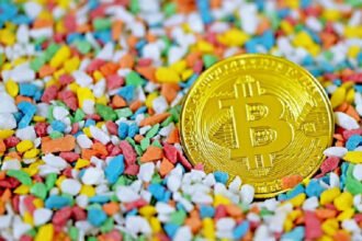 Why Is Bitcoin Going Up Today? BTC Price Surges After Trump Media and Fed Decisions