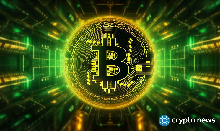 European central banks could stockpile Bitcoin in 2025: expert