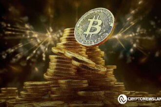 Bitcoin Addresses Grow as Price Holds Steady: What It Means Next