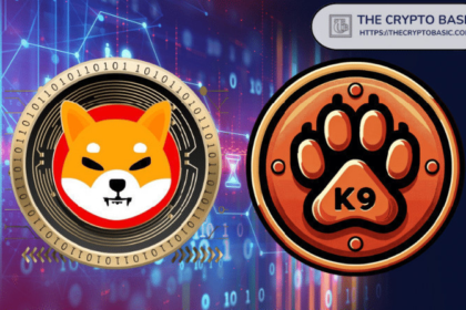 Google Awards Shiba Inu Partner $200K Cloud Service Grant