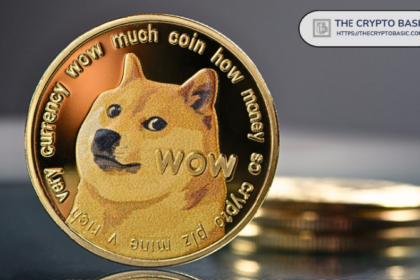 Who are the Top Holders of DOGE?