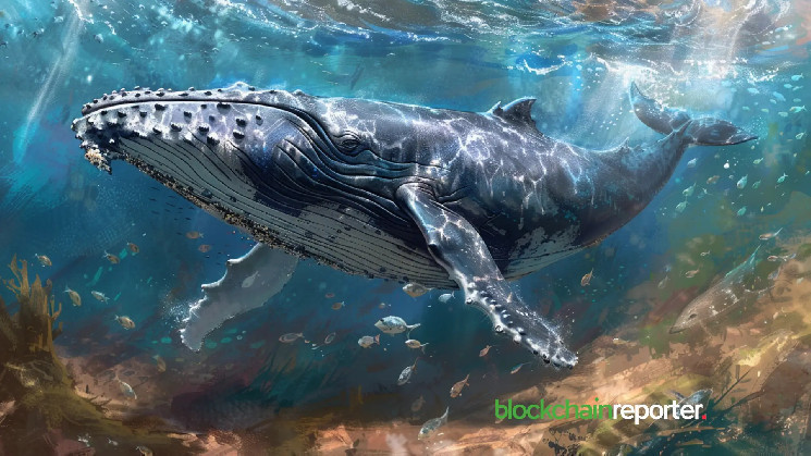 A Whale’s $13.8 Million Ethereum Purchase