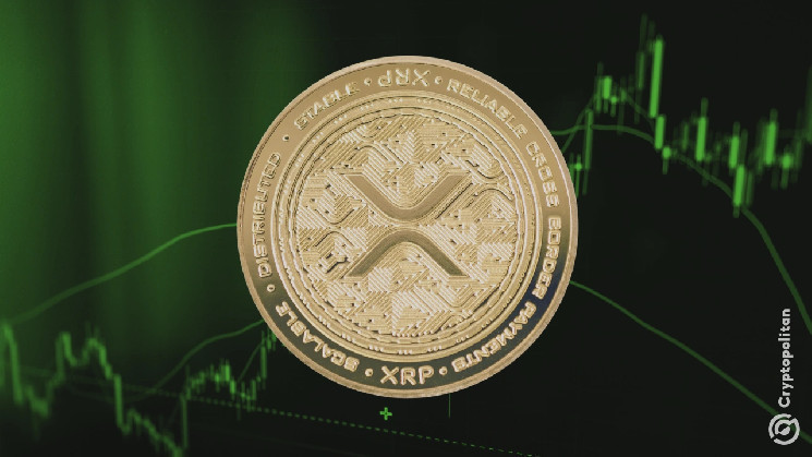 XRP sees 620% address surge after Trump boost