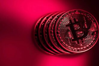 Analytics Company Shares What to Expect Next for Bitcoin