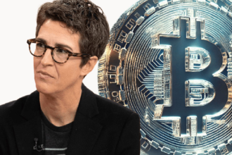 Why Bitcoin Is Not a Beanie Baby