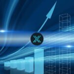 Immutable X and zkEVM NFT Sales Surge 55% in Q4 2024, But Market Participation Declines