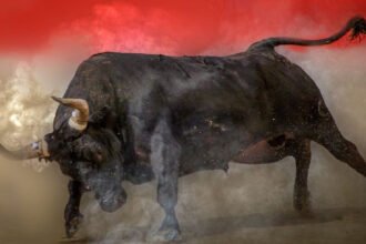 Bitcoin Surges Toward $90K as Market Sentiment Turns Bullish