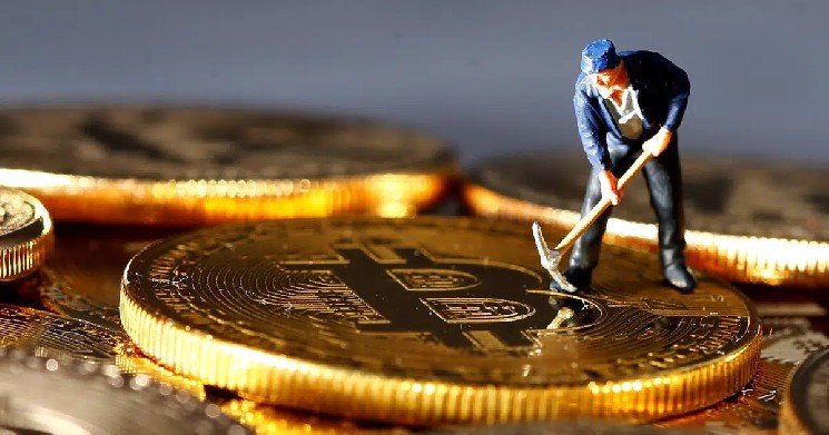 What Does This Mean for the Future Price?