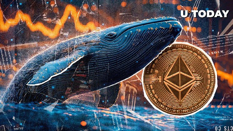 Surprising Ethereum (ETH) Whale Accumulation Just Started: Details