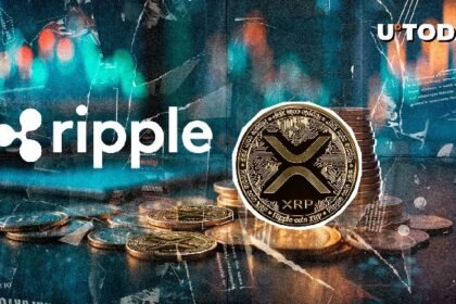Ripple's XRP Utility Narrative Slammed by Researcher