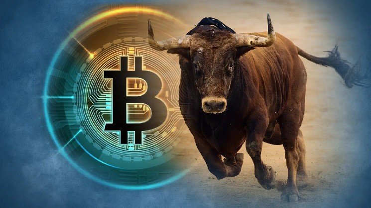 Will History Repeat Itself in Bitcoin (BTC)? Expert Analysts Give Their Predictions