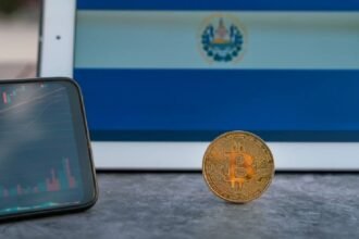 89% of Registered Bitcoin Service Providers Remain Inactive in El Salvador