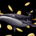Whales accumulated over 880M XRP in the past month