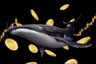 Whales accumulated over 880M XRP in the past month