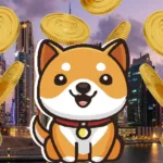 What is BabyDoge Properties?