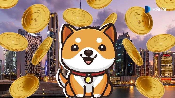 What is BabyDoge Properties?