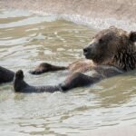 Stagflationary Data Puts Pressure on Bitcoin, Stocks Early in U.S. Day