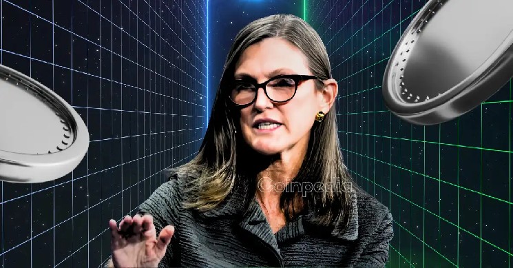 Donald Trump’s Tariffs Could ‘Free Up’ U.S. Market in 2025 