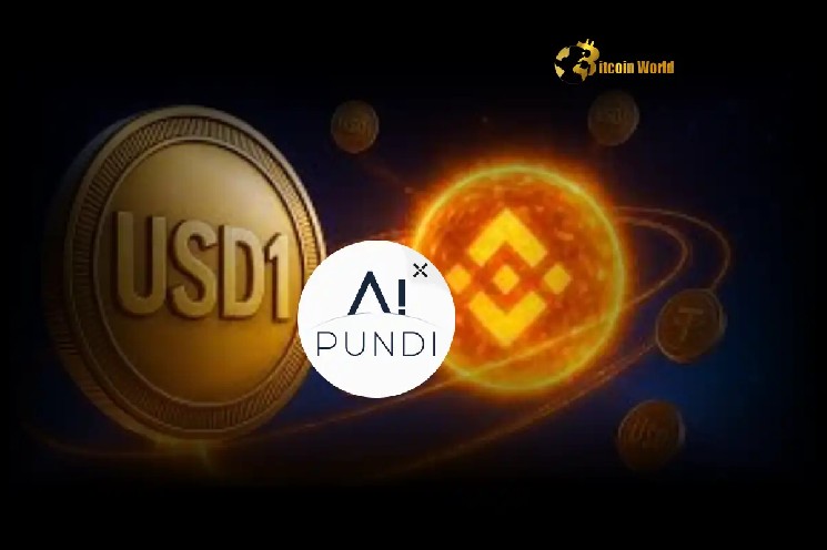 Pundi X Unleashes USD1 Stablecoin Support on BNB Chain for Global Crypto Payments