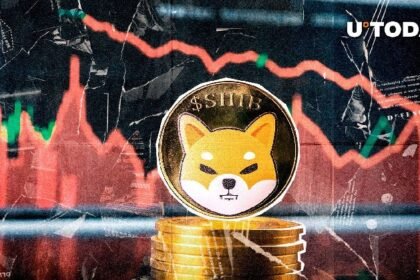 Shiba Inu Whale Transactions Down 91%, What's Happening?