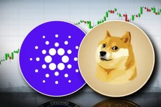 SHIB bags of money