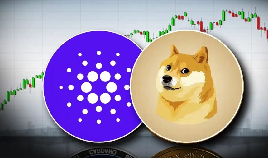 SHIB bags of money