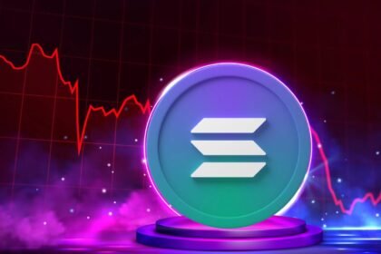 Circle USDC stock