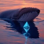 Ballenas accumulate 1.5 million Ethereum in 30 days