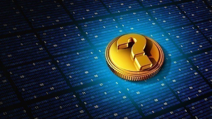 It Has Been Revealed That a Single Company Holds the Majority of the Supply in This Memecoin