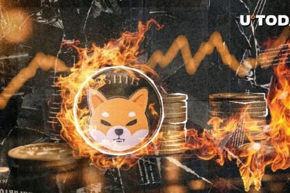 SHIB Burns Skyrocket 12,833%, Price Reacts Unexpectedly