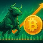 Why does the price of Bitcoin rise?