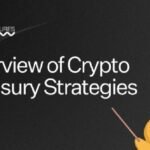 DWF Ventures Report Reveals $76B Crypto Treasury Investment by Public Companies