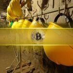 BTC.com Mining Pool Drives 98% of Bitcoin Miner Flows to Binance