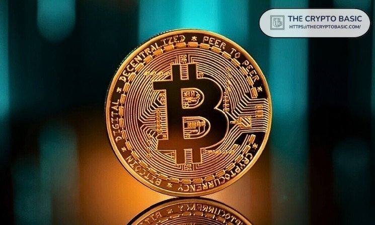 Here’s How Much Bitcoin One Needs to Be Financially Safe