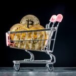 Bitcoin purchases shoot at maximum historical