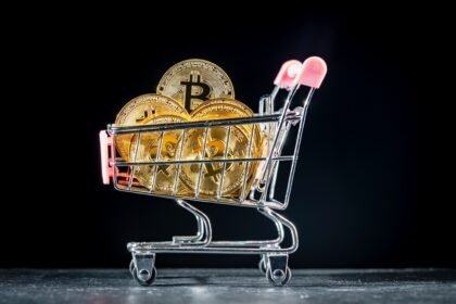 Bitcoin purchases shoot at maximum historical
