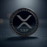 5 Keys on the state of the XRP network in 2025 5 keys on the state of the XRP network in 2025