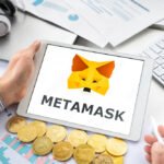 Metamask will take token native to take advantage of the last wave of market fever