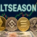 The Altseason index record in 2025