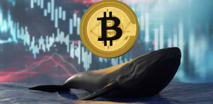 140,000 Bitcoin sold whales in the last month