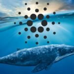 Russia eyes XRP for cross-border payments