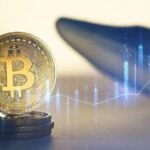 Whale that earned USD 150 million with the fall of bitcoin opens short again