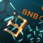 A crowd immersed itself in BNB Chain, the network created by Binance