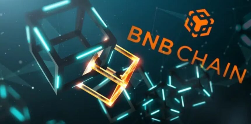 A crowd immersed itself in BNB Chain, the network created by Binance