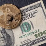 a magnet for the price of bitcoin