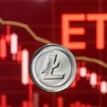 Litecoin is disappointing on Wall Street and teaches us a lesson